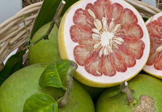 Pomelo: какъв плод?