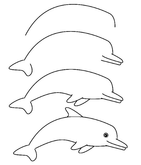 Как да нарисуваме делфин?