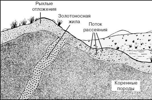 Каква е вената?