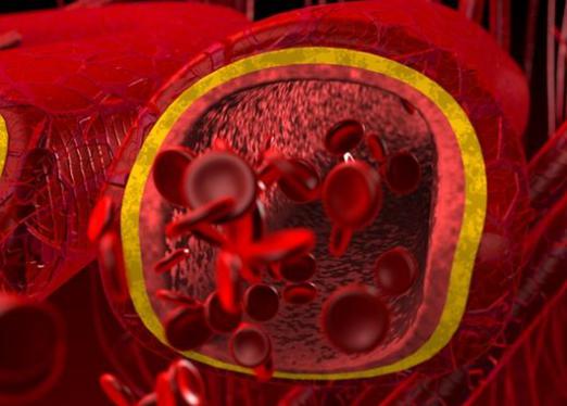 Какво увеличава белите кръвни клетки в кръвта?